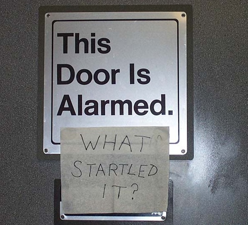 This-door-is-alarmed-What-startled-it